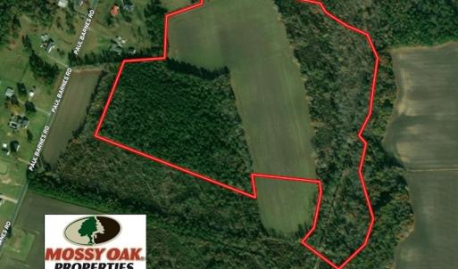 Photo of SOLD!!  47 Acres of Farm and Timber Land For Sale in Columbus County NC!