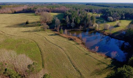 Photo of UNDER CONTRACT!  270.86 Acres of Pasture and Timber Land with Pond For Sale in Halifax County NC!