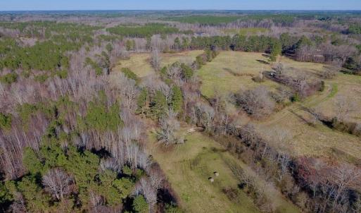 Photo of UNDER CONTRACT!  270.86 Acres of Pasture and Timber Land with Pond For Sale in Halifax County NC!
