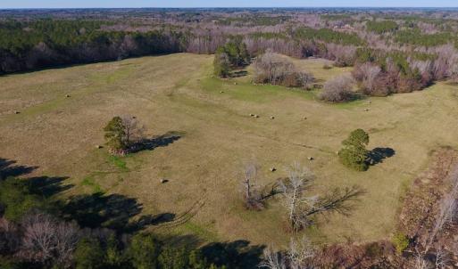 Photo of UNDER CONTRACT!  270.86 Acres of Pasture and Timber Land with Pond For Sale in Halifax County NC!