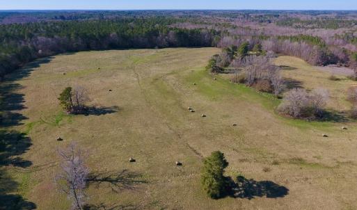 Photo of UNDER CONTRACT!  270.86 Acres of Pasture and Timber Land with Pond For Sale in Halifax County NC!