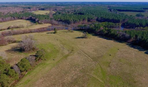 Photo of UNDER CONTRACT!  270.86 Acres of Pasture and Timber Land with Pond For Sale in Halifax County NC!