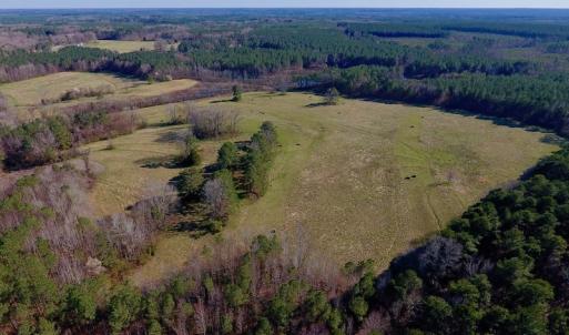 Photo of UNDER CONTRACT!  270.86 Acres of Pasture and Timber Land with Pond For Sale in Halifax County NC!