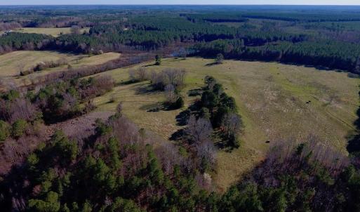 Photo of UNDER CONTRACT!  270.86 Acres of Pasture and Timber Land with Pond For Sale in Halifax County NC!