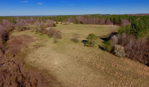 Photo of UNDER CONTRACT!  270.86 Acres of Pasture and Timber Land with Pond For Sale in Halifax County NC!