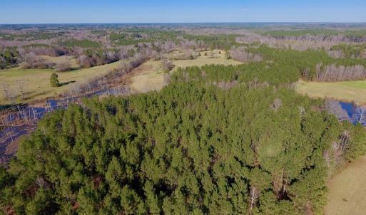 Photo of UNDER CONTRACT!  270.86 Acres of Pasture and Timber Land with Pond For Sale in Halifax County NC!