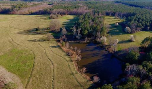 Photo of UNDER CONTRACT!  270.86 Acres of Pasture and Timber Land with Pond For Sale in Halifax County NC!