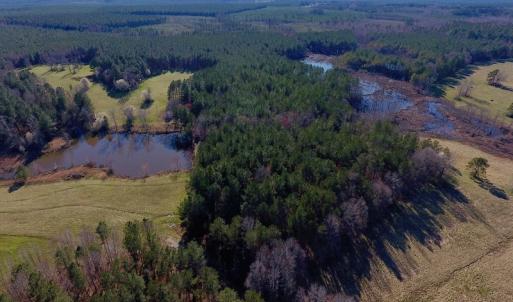 Photo of UNDER CONTRACT!  270.86 Acres of Pasture and Timber Land with Pond For Sale in Halifax County NC!