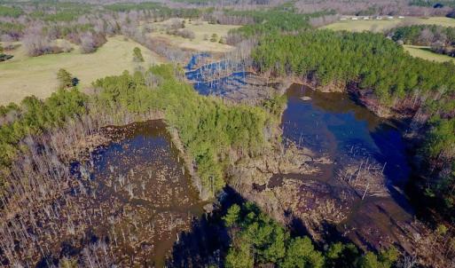 Photo of UNDER CONTRACT!  270.86 Acres of Pasture and Timber Land with Pond For Sale in Halifax County NC!