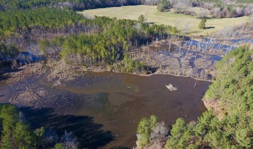 Photo of UNDER CONTRACT!  270.86 Acres of Pasture and Timber Land with Pond For Sale in Halifax County NC!