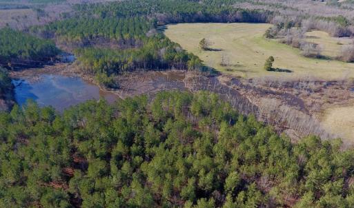 Photo of UNDER CONTRACT!  270.86 Acres of Pasture and Timber Land with Pond For Sale in Halifax County NC!