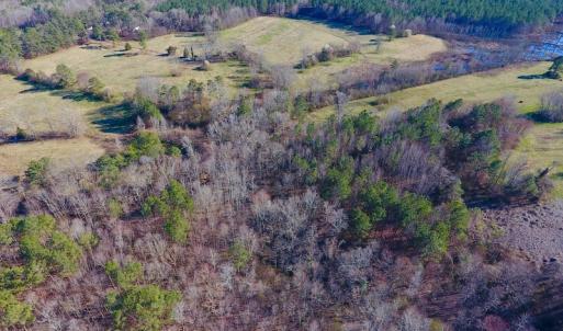 Photo of UNDER CONTRACT!  270.86 Acres of Pasture and Timber Land with Pond For Sale in Halifax County NC!