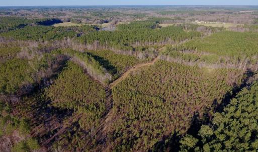 Photo of UNDER CONTRACT!  270.86 Acres of Pasture and Timber Land with Pond For Sale in Halifax County NC!
