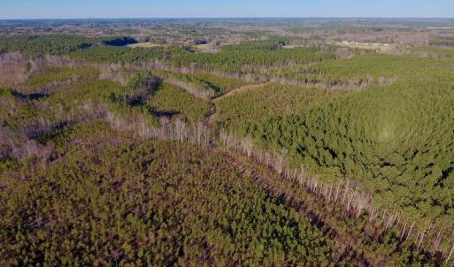 Photo of UNDER CONTRACT!  270.86 Acres of Pasture and Timber Land with Pond For Sale in Halifax County NC!