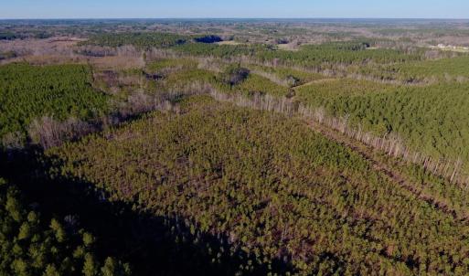 Photo of UNDER CONTRACT!  270.86 Acres of Pasture and Timber Land with Pond For Sale in Halifax County NC!
