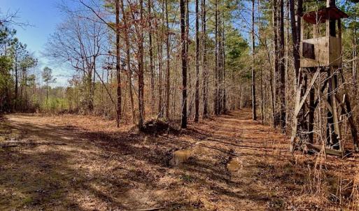 Photo of UNDER CONTRACT!  270.86 Acres of Pasture and Timber Land with Pond For Sale in Halifax County NC!