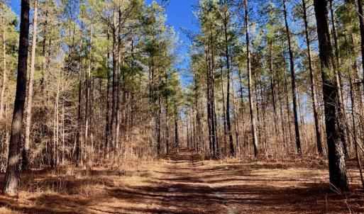 Photo of UNDER CONTRACT!  270.86 Acres of Pasture and Timber Land with Pond For Sale in Halifax County NC!