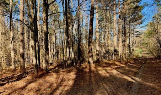 Photo of UNDER CONTRACT!  270.86 Acres of Pasture and Timber Land with Pond For Sale in Halifax County NC!