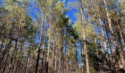 Photo of UNDER CONTRACT!  270.86 Acres of Pasture and Timber Land with Pond For Sale in Halifax County NC!