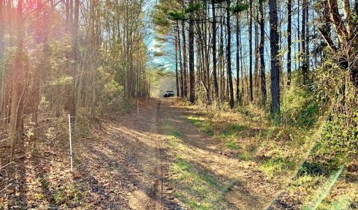 Photo of UNDER CONTRACT!  270.86 Acres of Pasture and Timber Land with Pond For Sale in Halifax County NC!