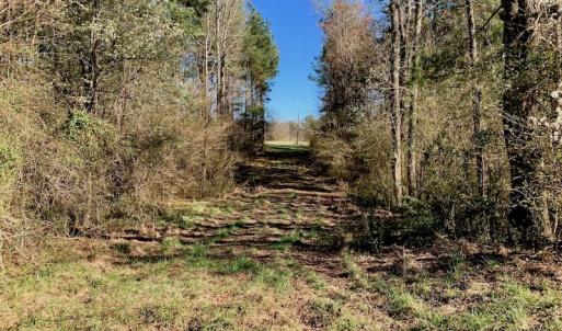 Photo of UNDER CONTRACT!  270.86 Acres of Pasture and Timber Land with Pond For Sale in Halifax County NC!