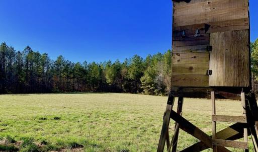 Photo of UNDER CONTRACT!  270.86 Acres of Pasture and Timber Land with Pond For Sale in Halifax County NC!