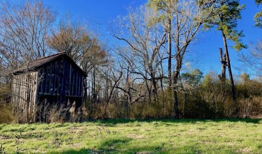 Photo of UNDER CONTRACT!  270.86 Acres of Pasture and Timber Land with Pond For Sale in Halifax County NC!