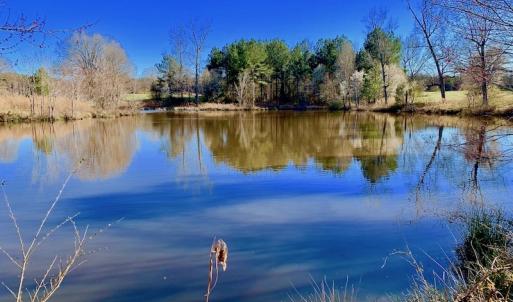 Photo of UNDER CONTRACT!  270.86 Acres of Pasture and Timber Land with Pond For Sale in Halifax County NC!