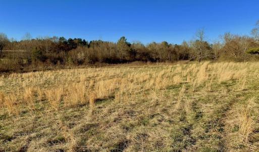 Photo of UNDER CONTRACT!  270.86 Acres of Pasture and Timber Land with Pond For Sale in Halifax County NC!