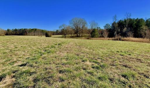 Photo of UNDER CONTRACT!  270.86 Acres of Pasture and Timber Land with Pond For Sale in Halifax County NC!