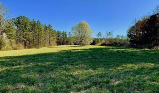 Photo of UNDER CONTRACT!  270.86 Acres of Pasture and Timber Land with Pond For Sale in Halifax County NC!