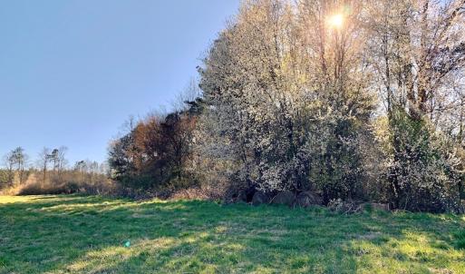 Photo of UNDER CONTRACT!  270.86 Acres of Pasture and Timber Land with Pond For Sale in Halifax County NC!