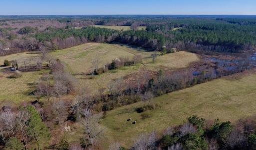 Photo of UNDER CONTRACT!  270.86 Acres of Pasture and Timber Land with Pond For Sale in Halifax County NC!