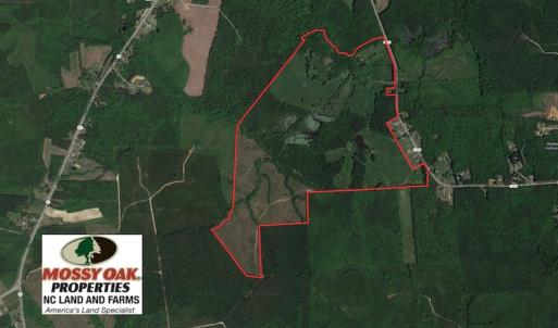 Photo of UNDER CONTRACT!  270.86 Acres of Pasture and Timber Land with Pond For Sale in Halifax County NC!
