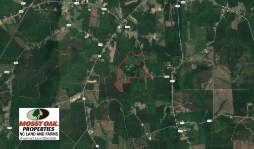 Photo of UNDER CONTRACT!  270.86 Acres of Pasture and Timber Land with Pond For Sale in Halifax County NC!