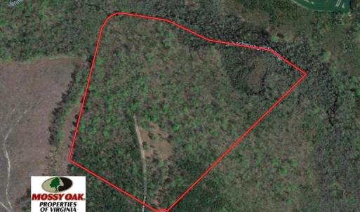 Photo of SOLD!!  55 Acres of Hunting and Timber Land with Home Site in Surry County VA!