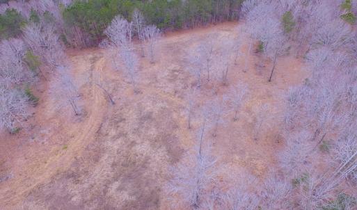 Photo of SOLD!!  55 Acres of Hunting and Timber Land with Home Site in Surry County VA!