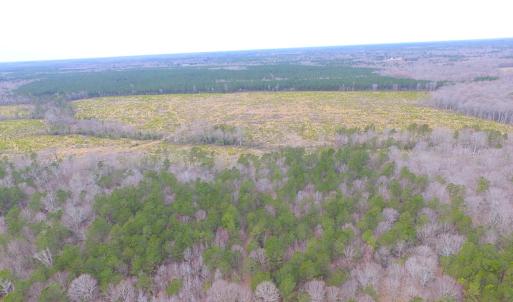 Photo of SOLD!!  55 Acres of Hunting and Timber Land with Home Site in Surry County VA!