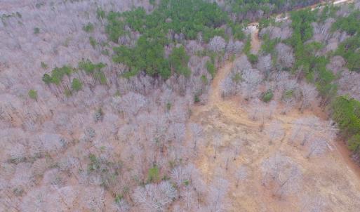 Photo of SOLD!!  55 Acres of Hunting and Timber Land with Home Site in Surry County VA!