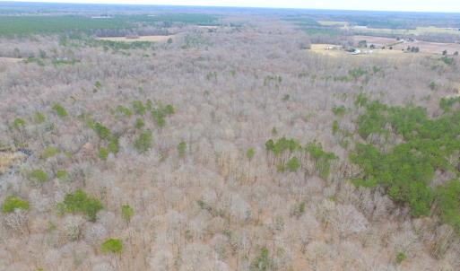 Photo of SOLD!!  55 Acres of Hunting and Timber Land with Home Site in Surry County VA!