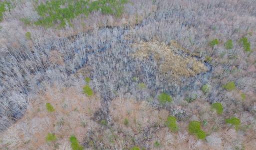 Photo of SOLD!!  55 Acres of Hunting and Timber Land with Home Site in Surry County VA!