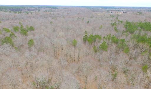 Photo of SOLD!!  55 Acres of Hunting and Timber Land with Home Site in Surry County VA!