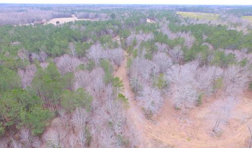 Photo of SOLD!!  55 Acres of Hunting and Timber Land with Home Site in Surry County VA!