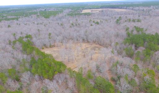 Photo of SOLD!!  55 Acres of Hunting and Timber Land with Home Site in Surry County VA!