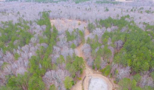 Photo of SOLD!!  55 Acres of Hunting and Timber Land with Home Site in Surry County VA!