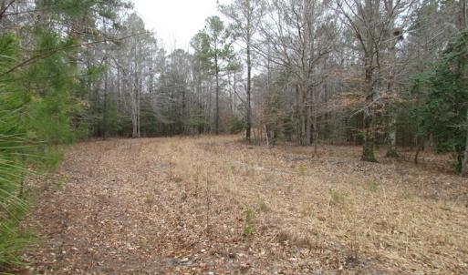 Photo of SOLD!!  55 Acres of Hunting and Timber Land with Home Site in Surry County VA!
