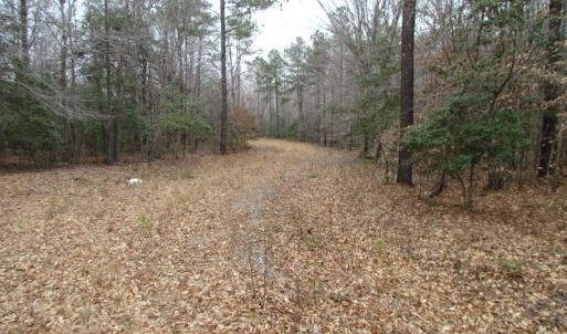 Photo of SOLD!!  55 Acres of Hunting and Timber Land with Home Site in Surry County VA!