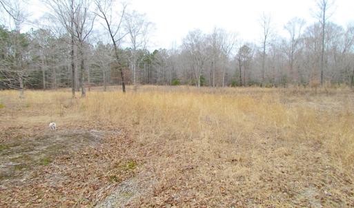 Photo of SOLD!!  55 Acres of Hunting and Timber Land with Home Site in Surry County VA!