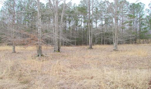 Photo of SOLD!!  55 Acres of Hunting and Timber Land with Home Site in Surry County VA!