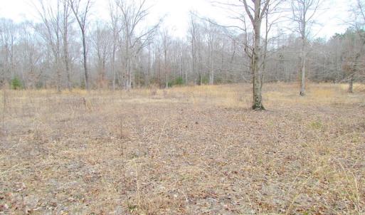 Photo of SOLD!!  55 Acres of Hunting and Timber Land with Home Site in Surry County VA!